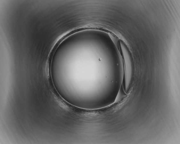 X0000108480838200904091435
