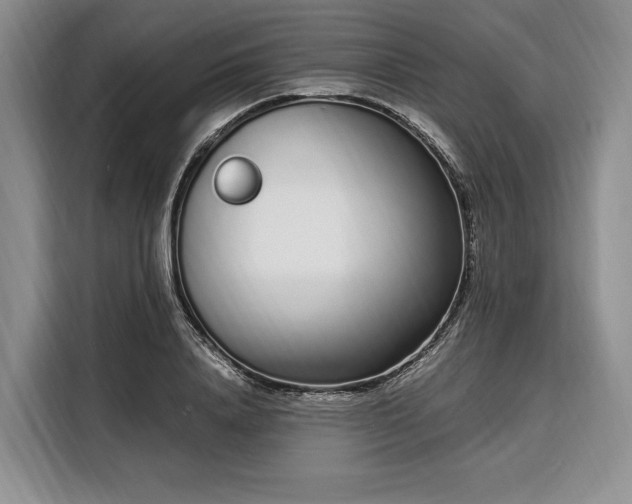 X0000108480840200904091436