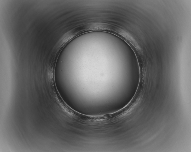X0000108480841200904091436