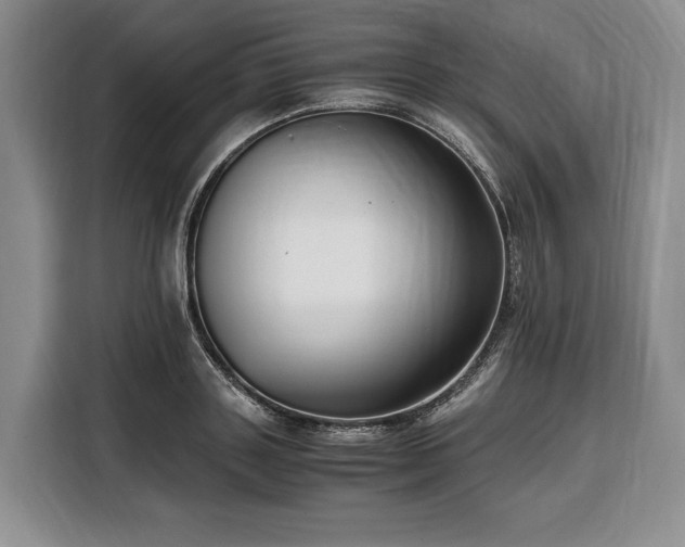 X0000108480843200904091436