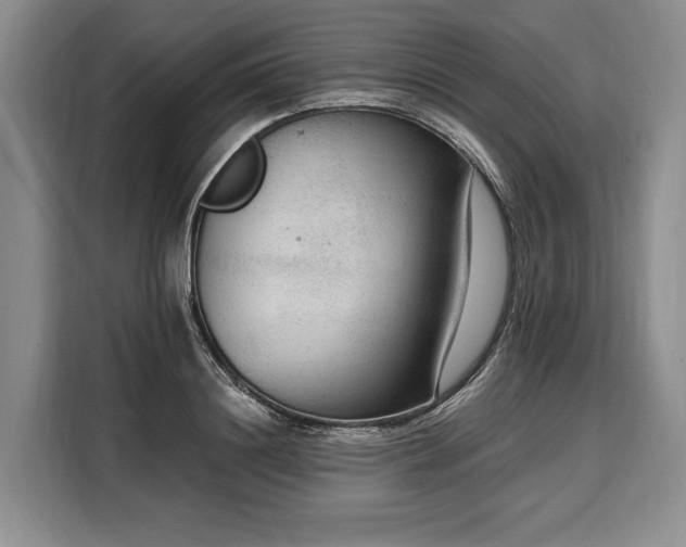 X0000108480844200904091436