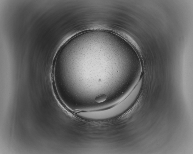 X0000108480847200904091436