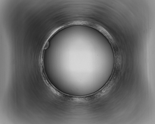 X0000108480852200904091436