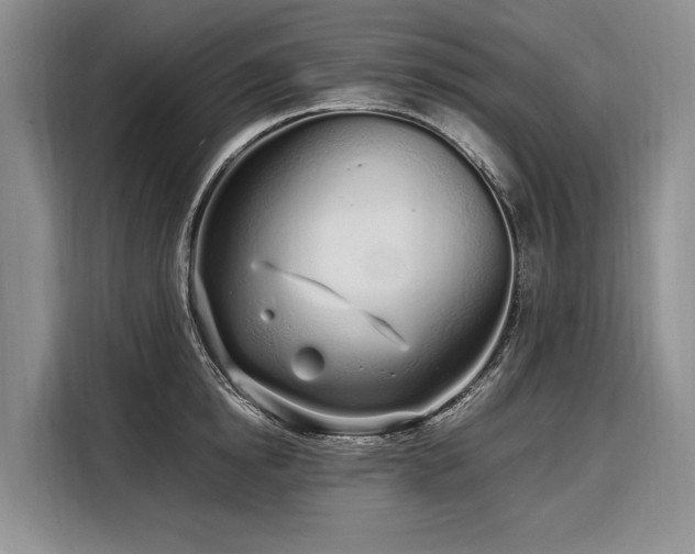 X0000108480854200904091436
