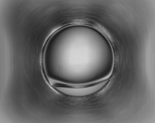 X0000108480855200904091436
