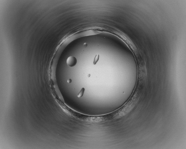 X0000108480858200904091436