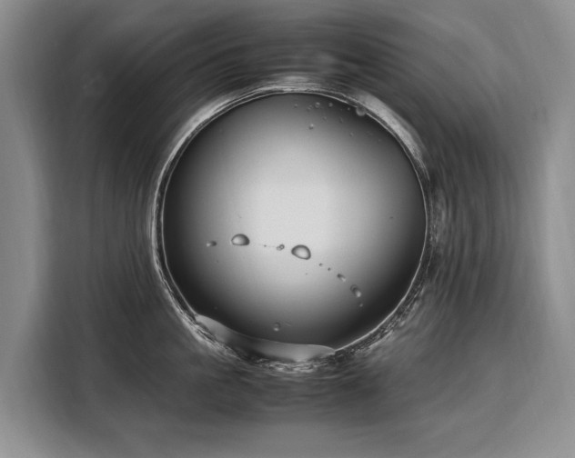 X0000108480861200904091436