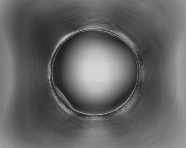 X0000108480862200904091436