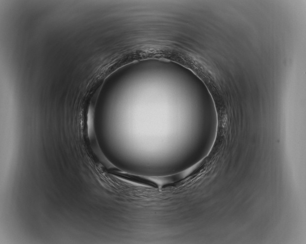 X0000108480868200904091435