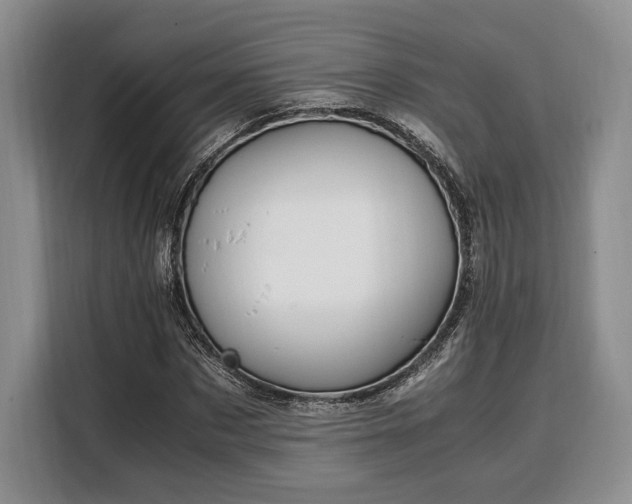 X0000108480873200904091435