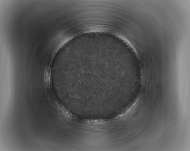 X0000108480874200904091435