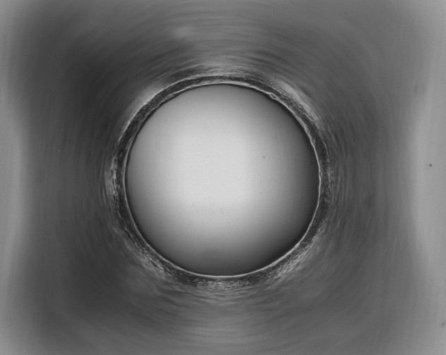 X0000108480875200904091435