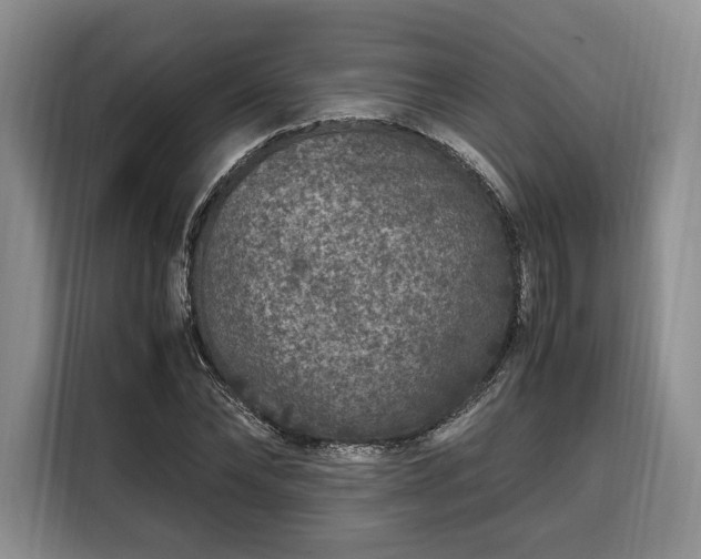 X0000108480878200904091435