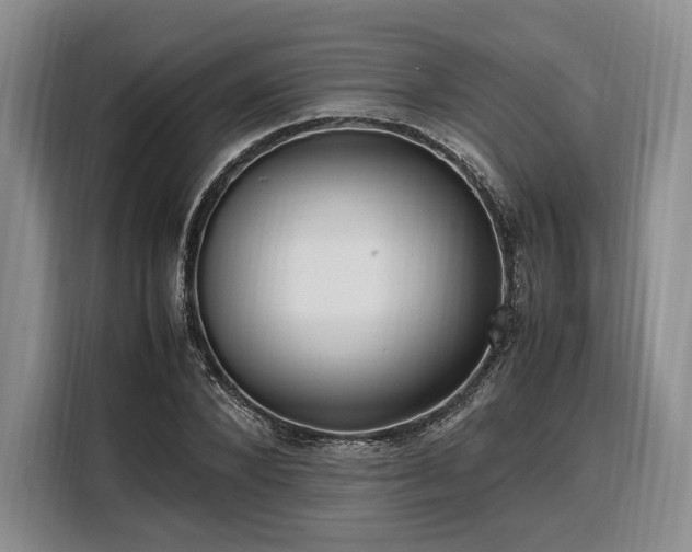 X0000108480880200904091435