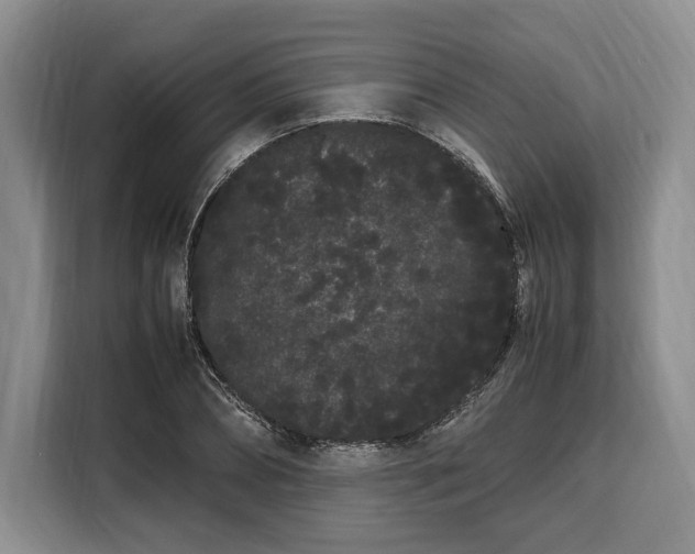 X0000108480882200904091435