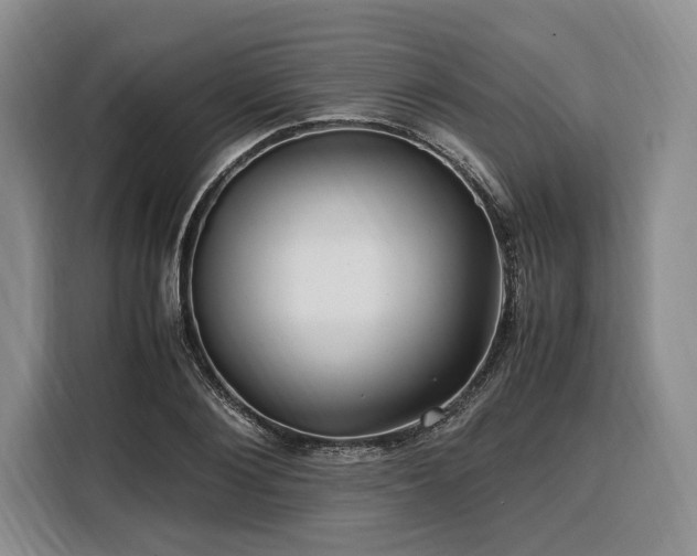 X0000108480884200904091435