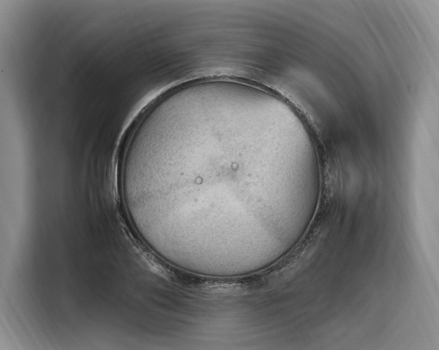 X0000108480886200904091435