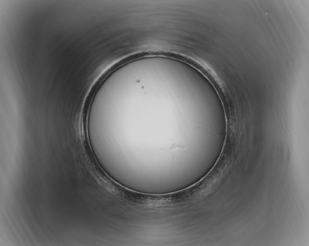 X0000108480887200904091435