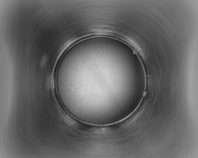 X0000108480891200904091435