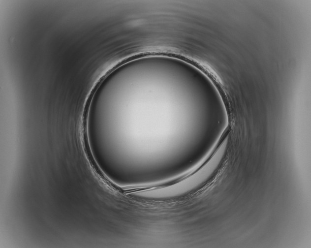 X0000108480895200904091435