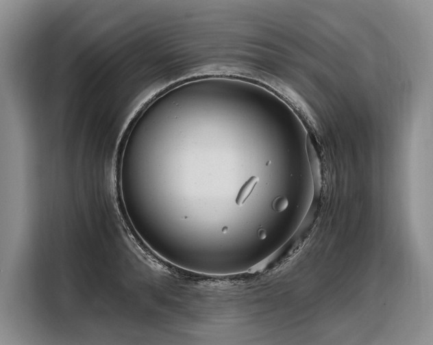 X0000108480896200904091435