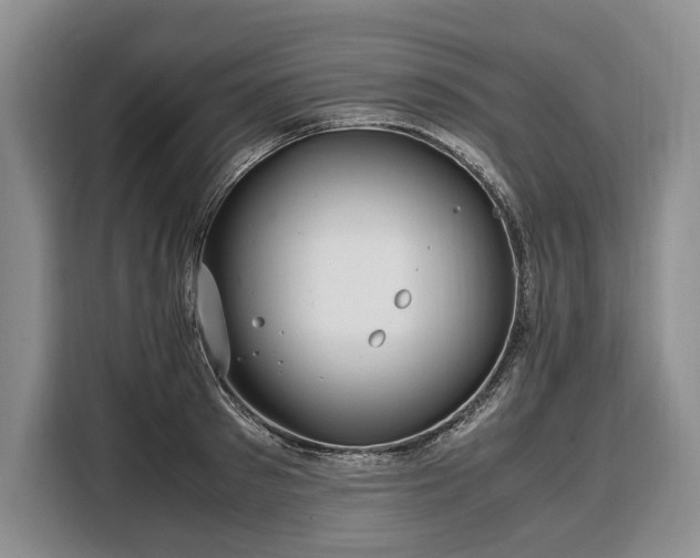 X0000108480897200904091435