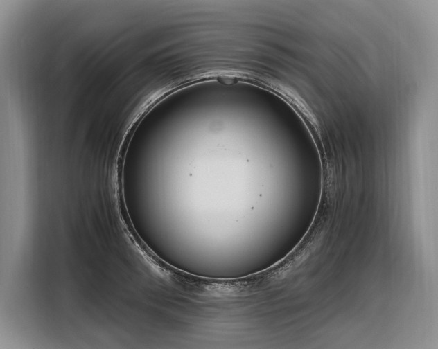 X0000108480898200904091435