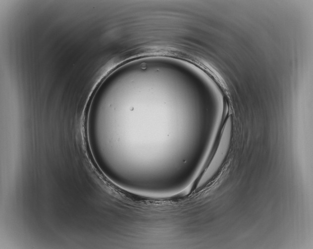 X0000108480899200904091435