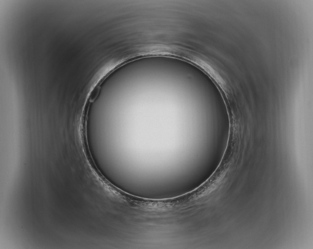 X0000108480901200904091435