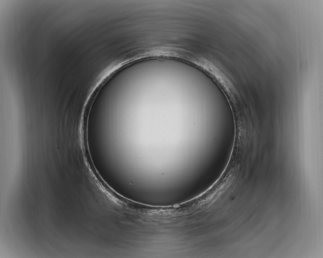 X0000108480902200904091435