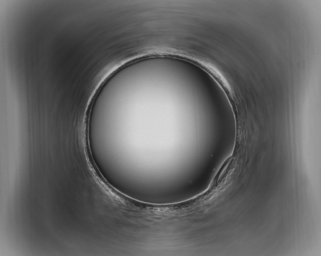 X0000108480903200904091435