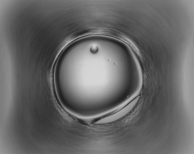 X0000108480907200904091435