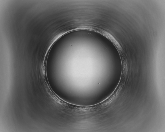X0000108480908200904091435