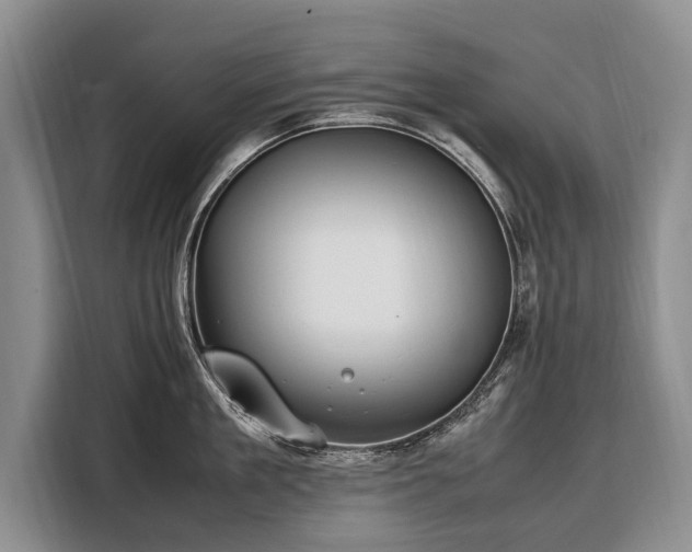 X0000108480909200904091435