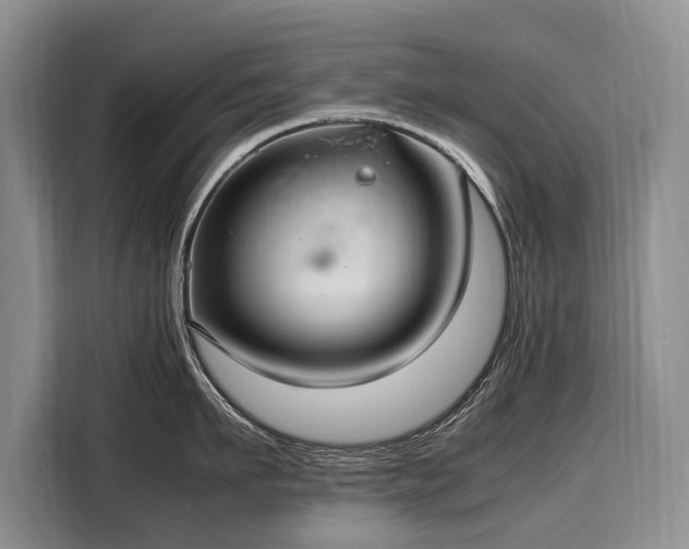 X0000108480911200904091435