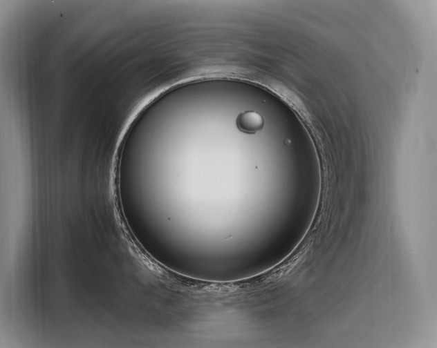 X0000108480912200904091435