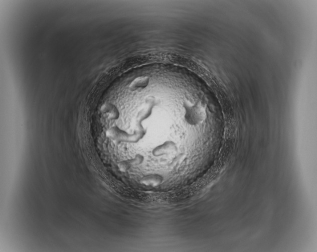 X0000108480913200904091434