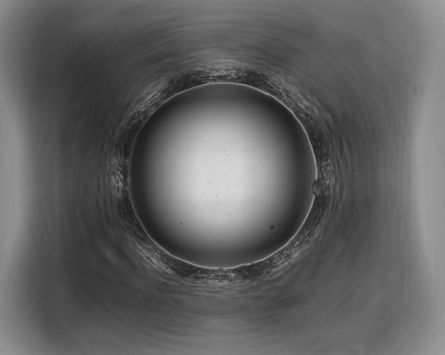 X0000108480916200904091434