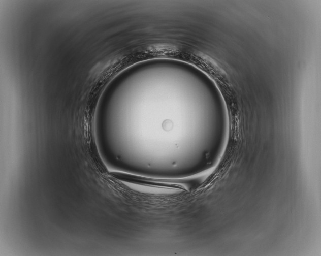 X0000108480917200904091434