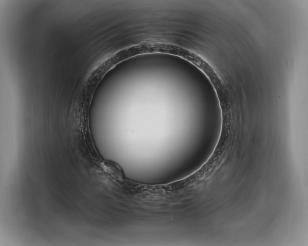 X0000108480919200904091434