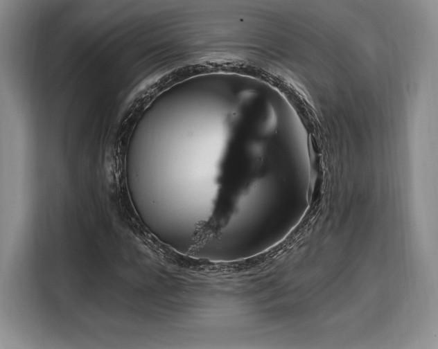 X0000108480920200904091434