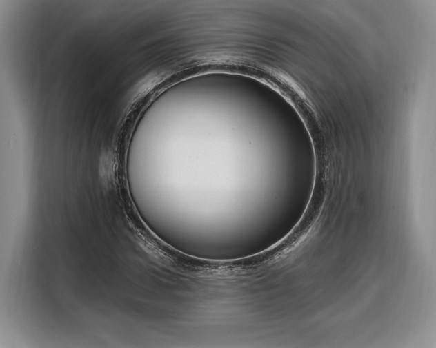 X0000108480922200904091434