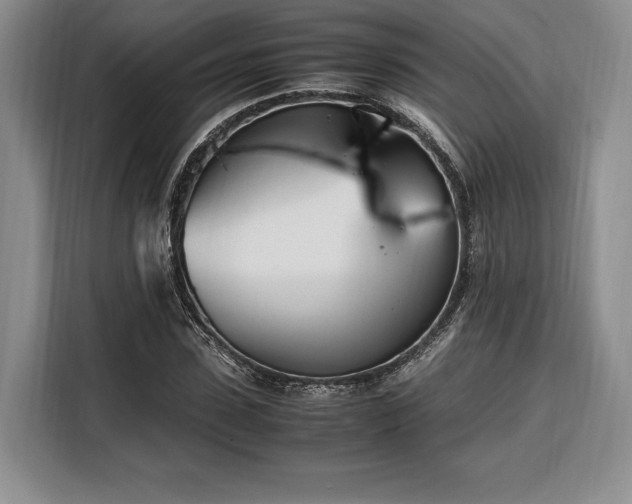 X0000108480923200904091434