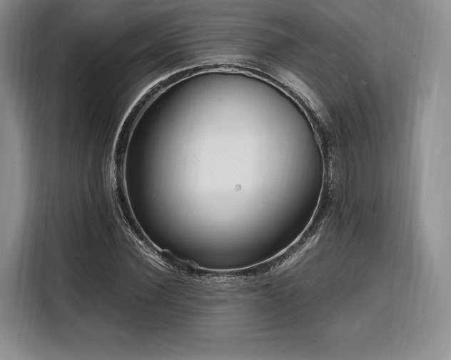 X0000108480924200904091434