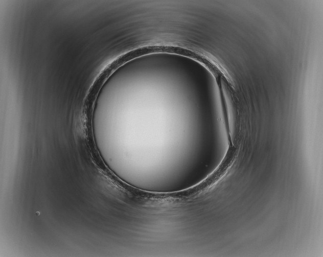 X0000108480926200904091434