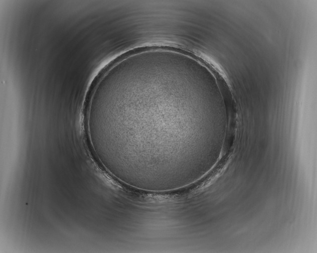 X0000108480928200904091434