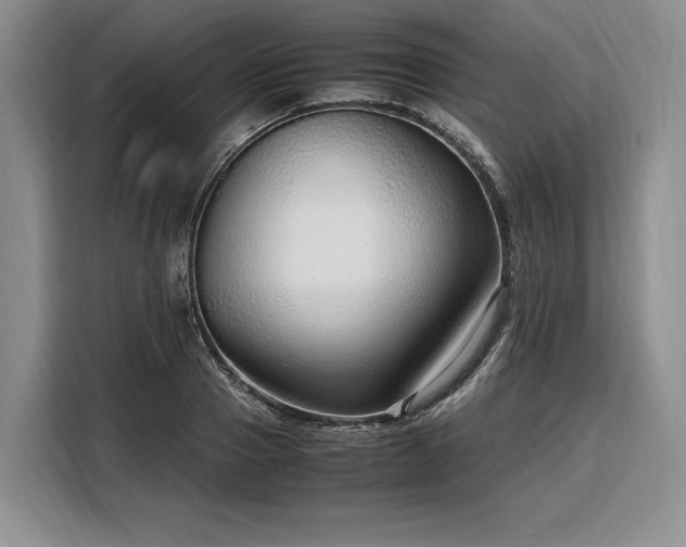 X0000108480937200904091434