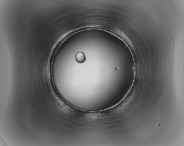 X0000108480939200904091434