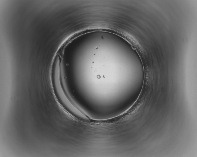 X0000108480942200904091434