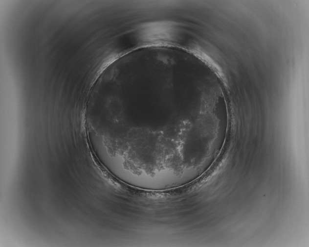 X0000108480945200904091434